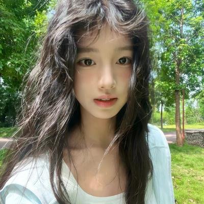 翼龙